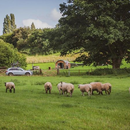 Hidden Wood Glamping And The Hideaway Cabin Warminster Eksteriør bilde