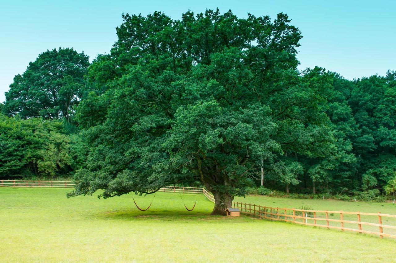 Hidden Wood Glamping And The Hideaway Cabin Warminster Eksteriør bilde