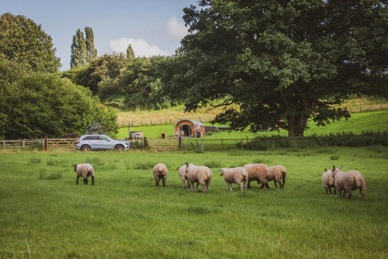 Hidden Wood Glamping And The Hideaway Cabin Warminster Eksteriør bilde